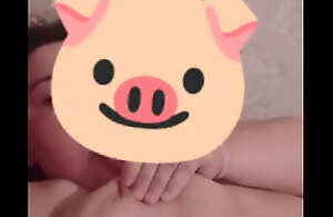 pig bbw
